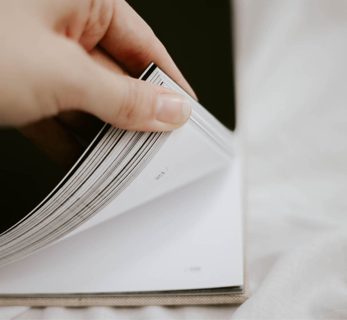 typebook coffee table book the type book