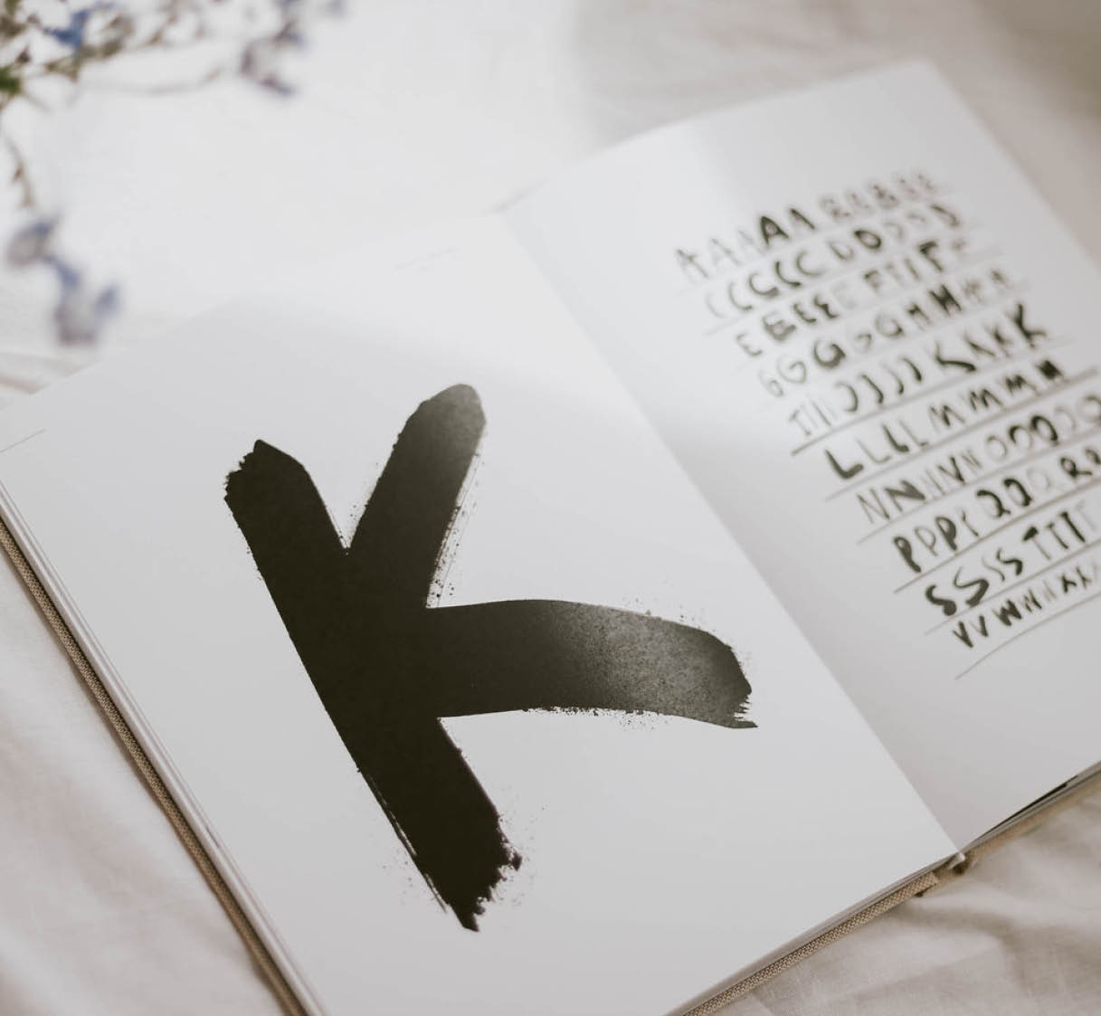 typebook4 coffee table book the type book